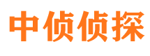 宜秀市侦探公司